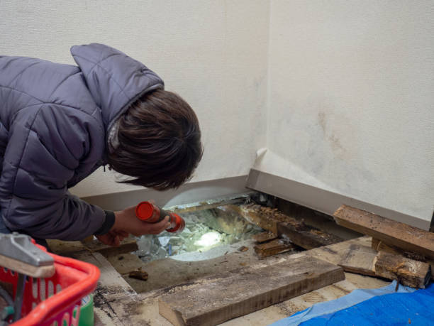 Best Real Estate Mold Inspection  in Hays, KS