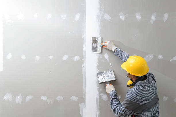 Best Mold Prevention Services  in Hays, KS