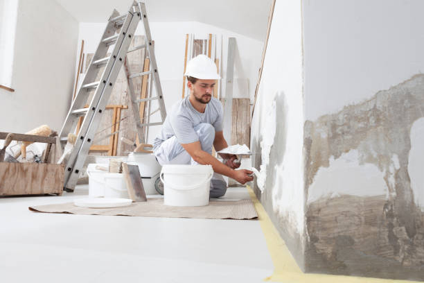 Best Forensic Mold Investigation  in Hays, KS