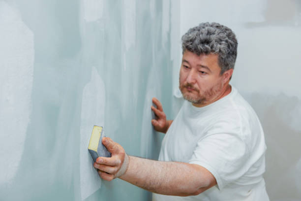Best Post-Construction Mold Inspection  in Hays, KS
