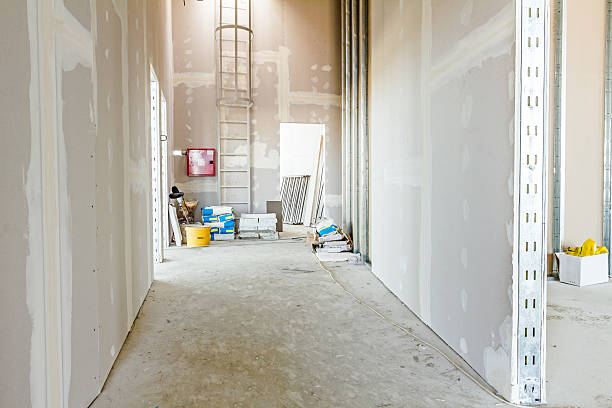 Best Dehumidification Services  in Hays, KS