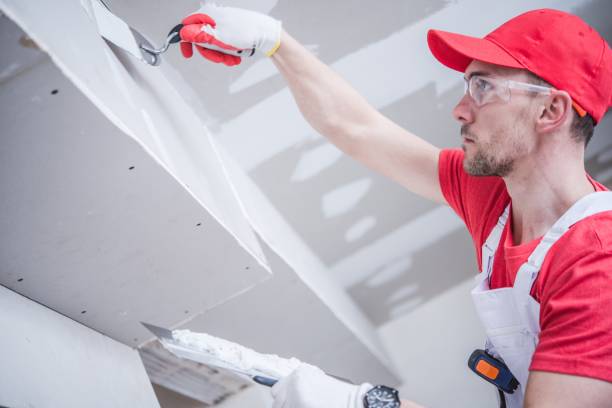  Hays, KS Mold Removal Pros