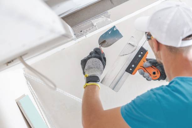Best Black Mold Removal  in Hays, KS